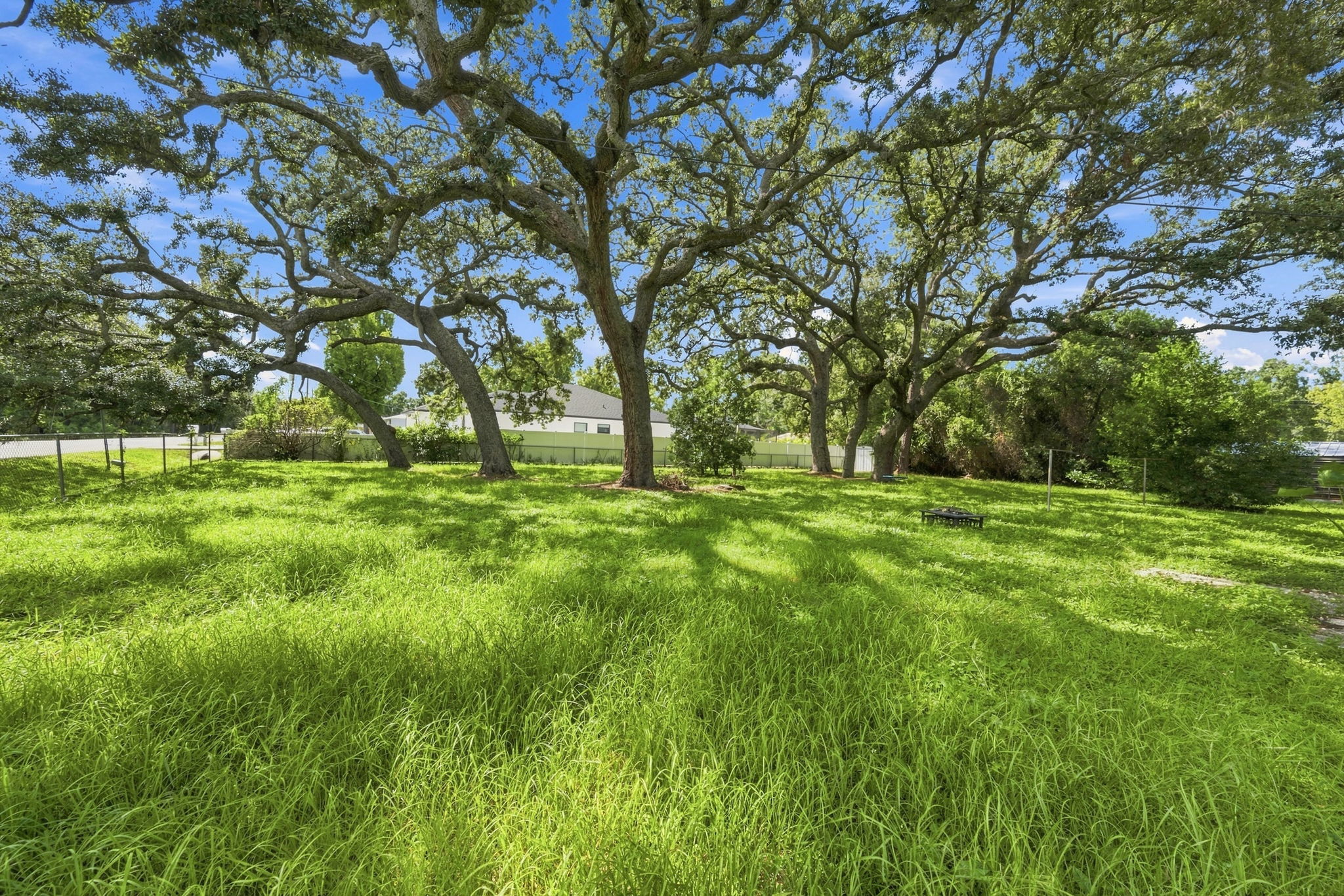 Backyard1