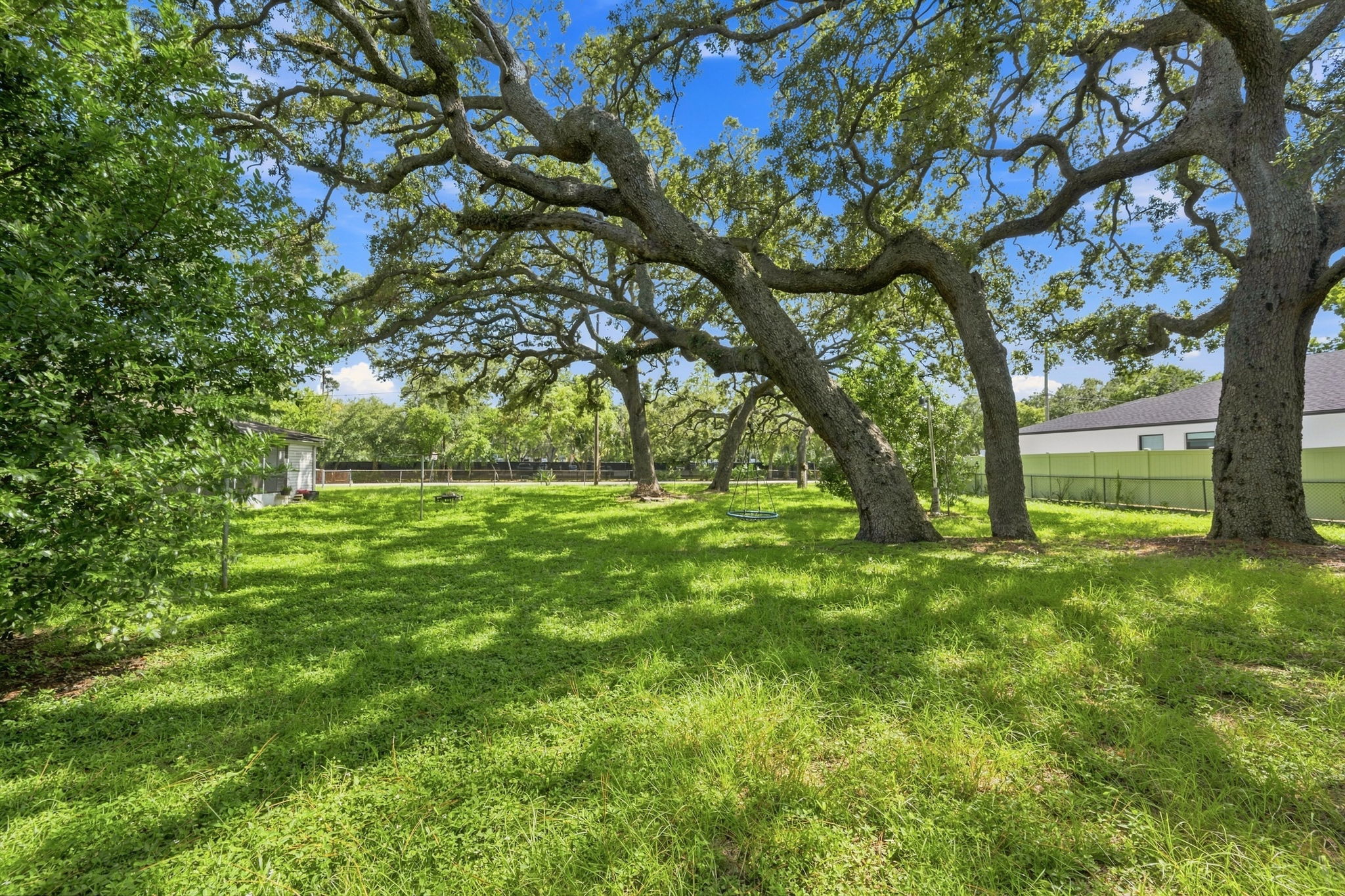 Backyard5
