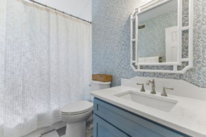 Lower Level - Bathroom
