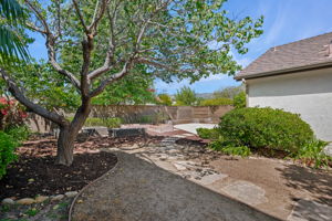 22 - Back Yard