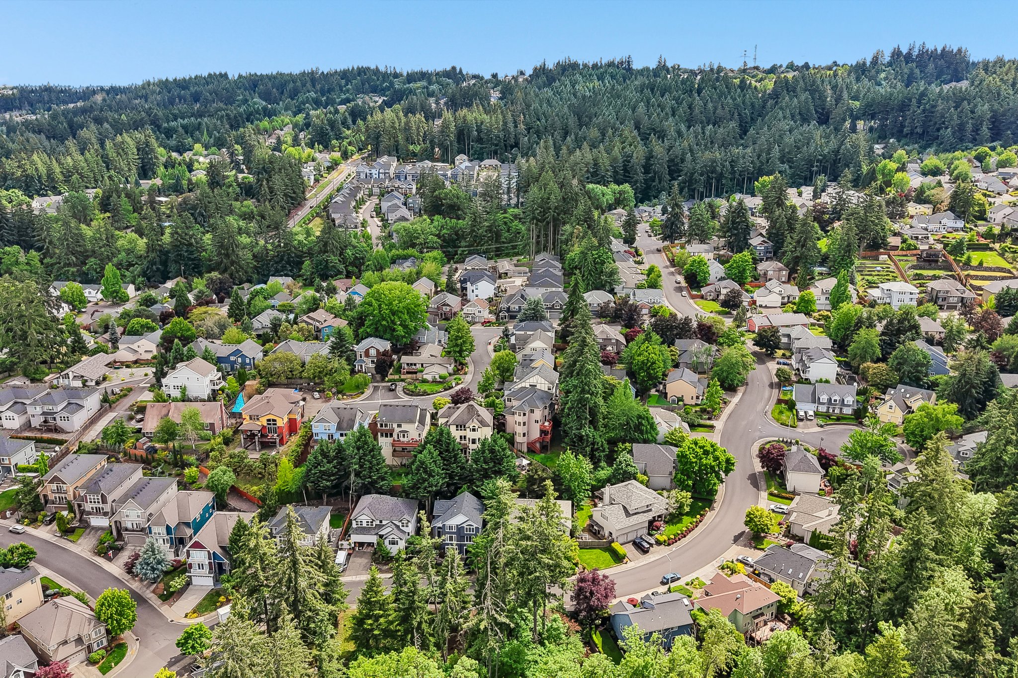 SW Oviatt Dr-S2005-110.jpg