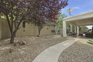 Backyard with Mature Trees