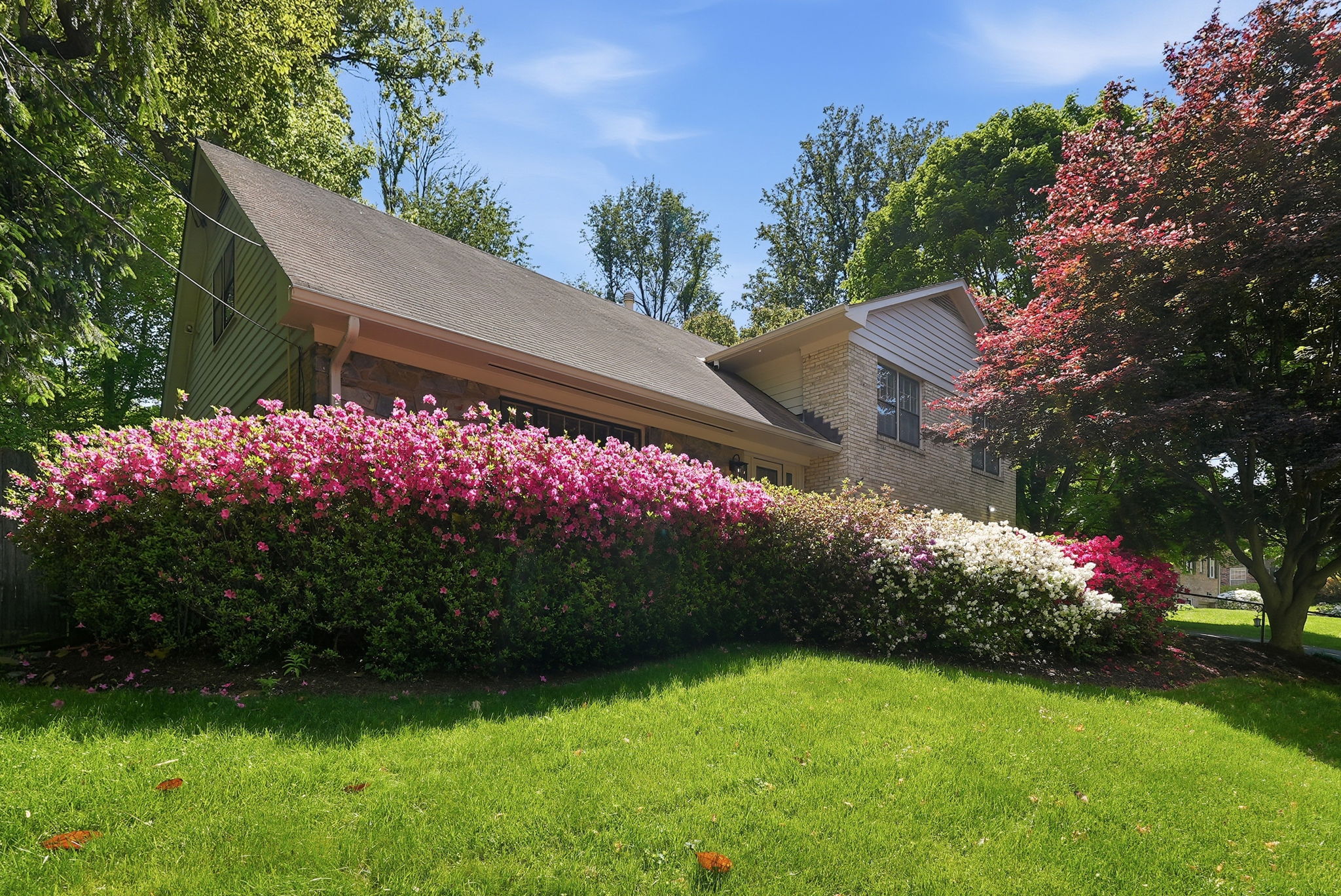 Mature Landscaping
