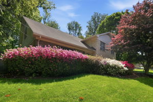 Mature Landscaping
