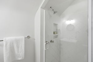 Primary Shower