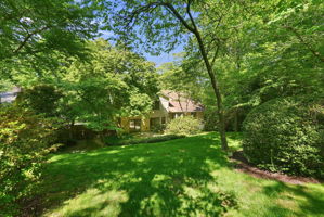 Lush .36 Acre Lot