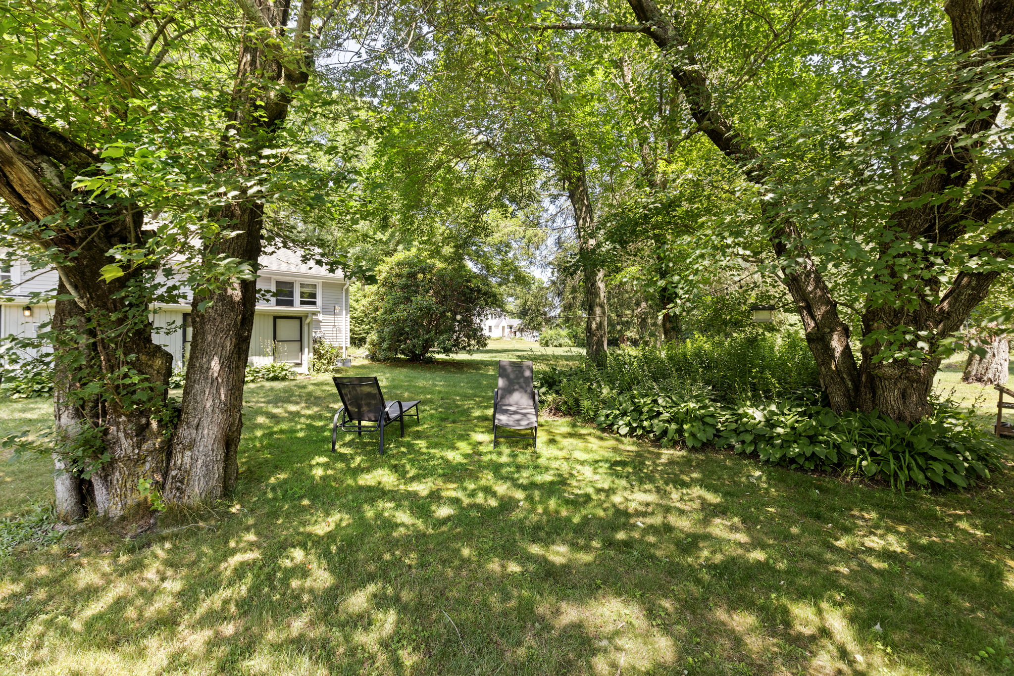  Photo 45