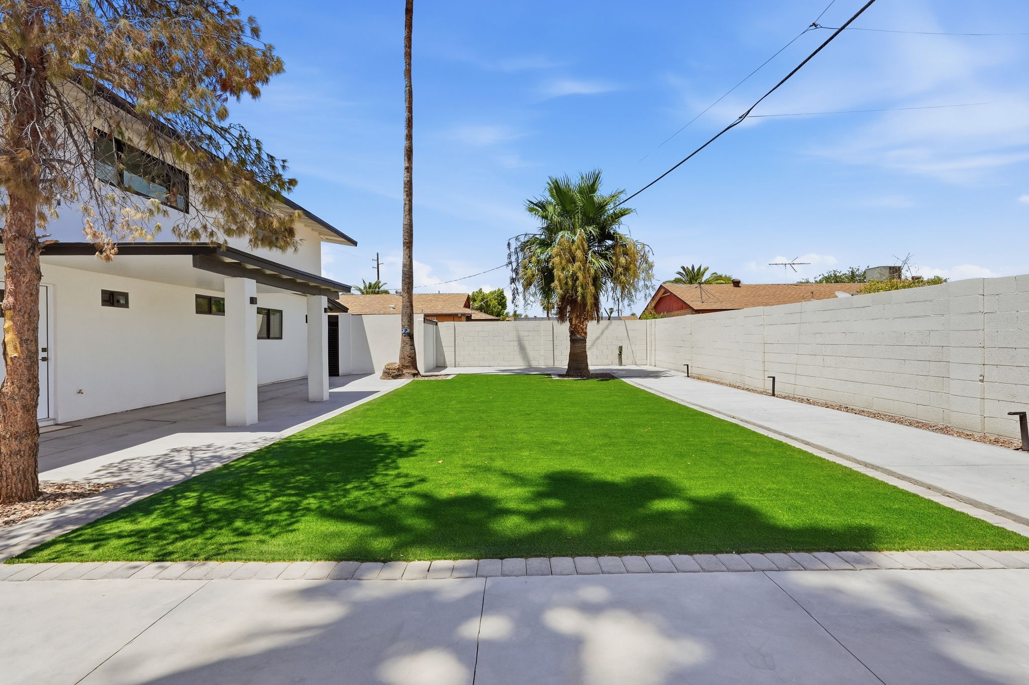 Backyard