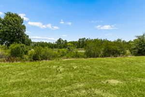 88-DSC_1715