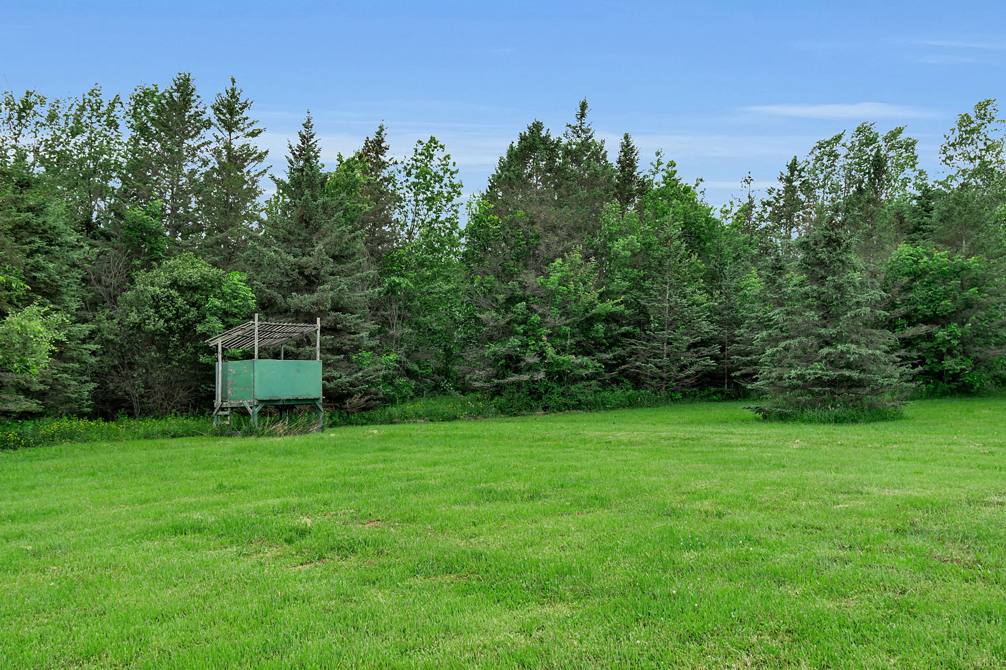  Photo 25