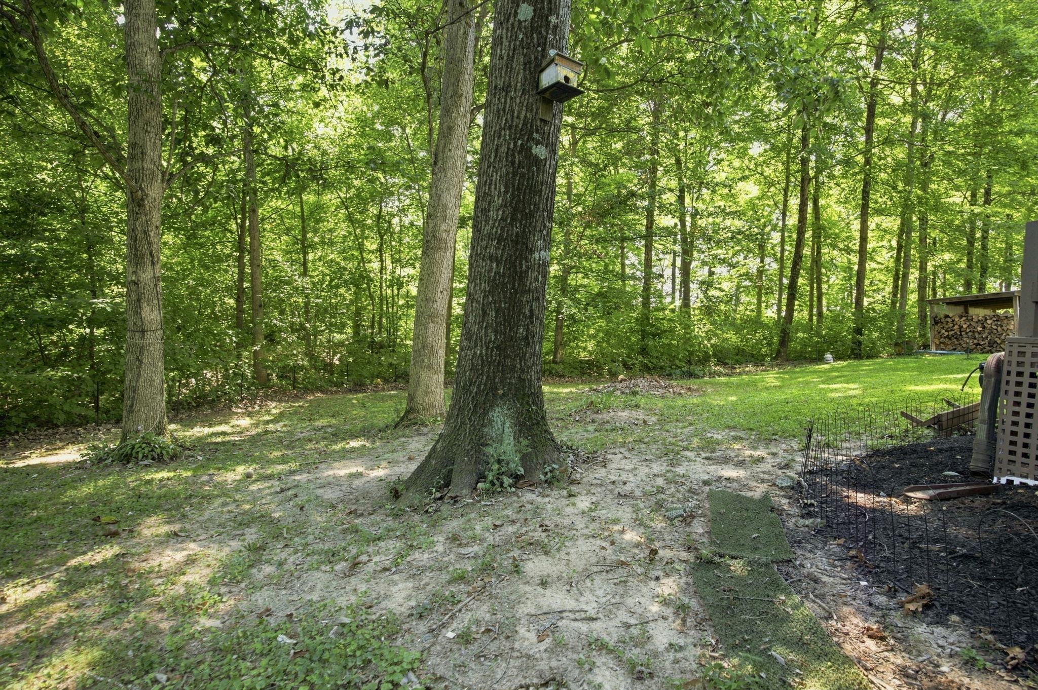  Photo 48