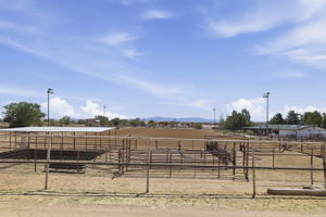 Horse Facilities