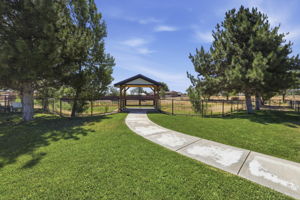 Lawn