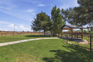 Lawn (2)