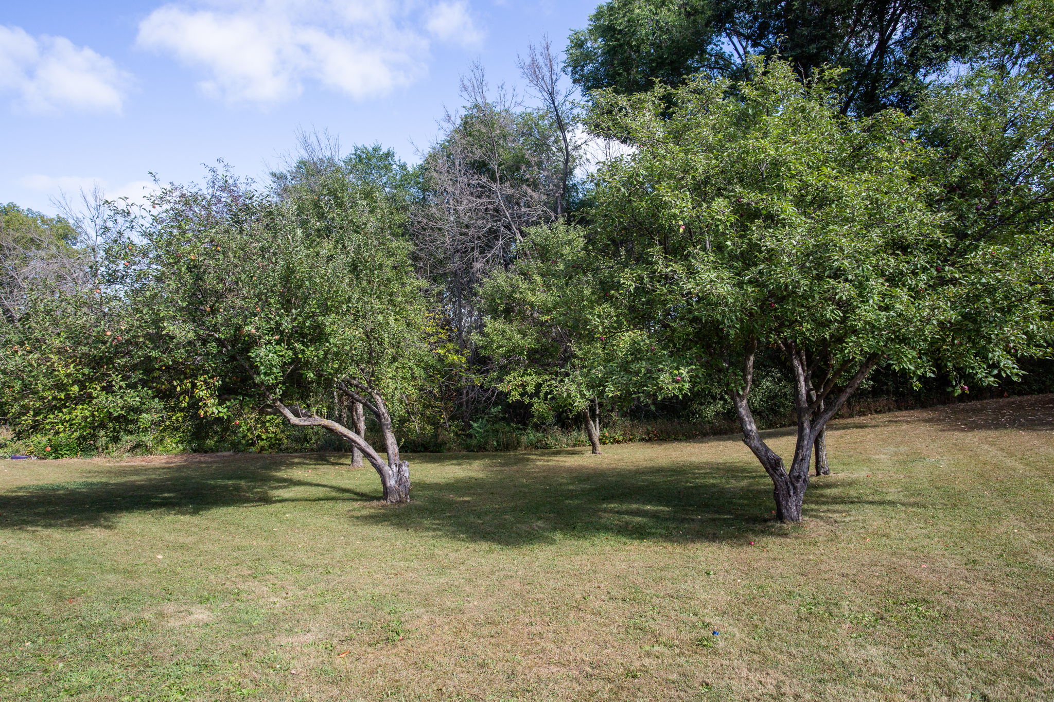  Photo 31