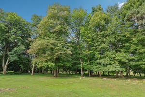 N Linden Ln-S0608-060.jpg