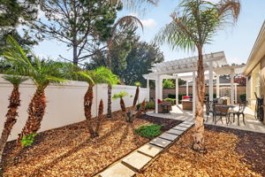 Courtyard with Pergola