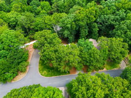  Photo 49