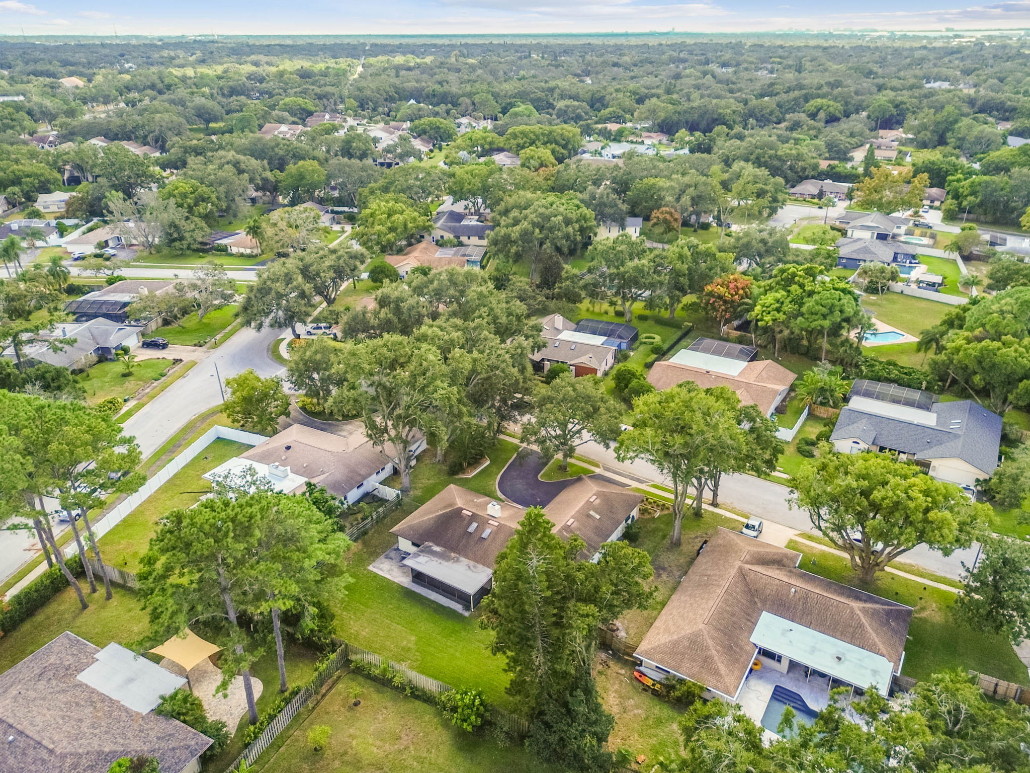 DJI_0562