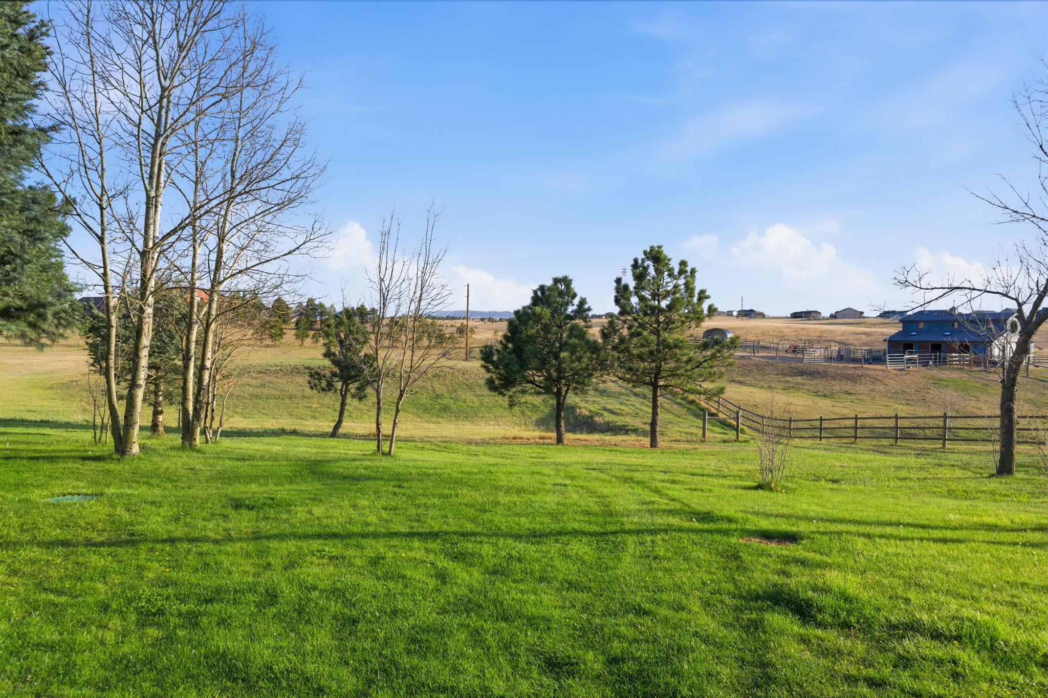 Expansive 5 Acres