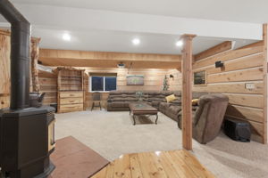 Basement Family Room with Movie Projector