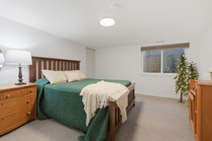 Basement Bedroom