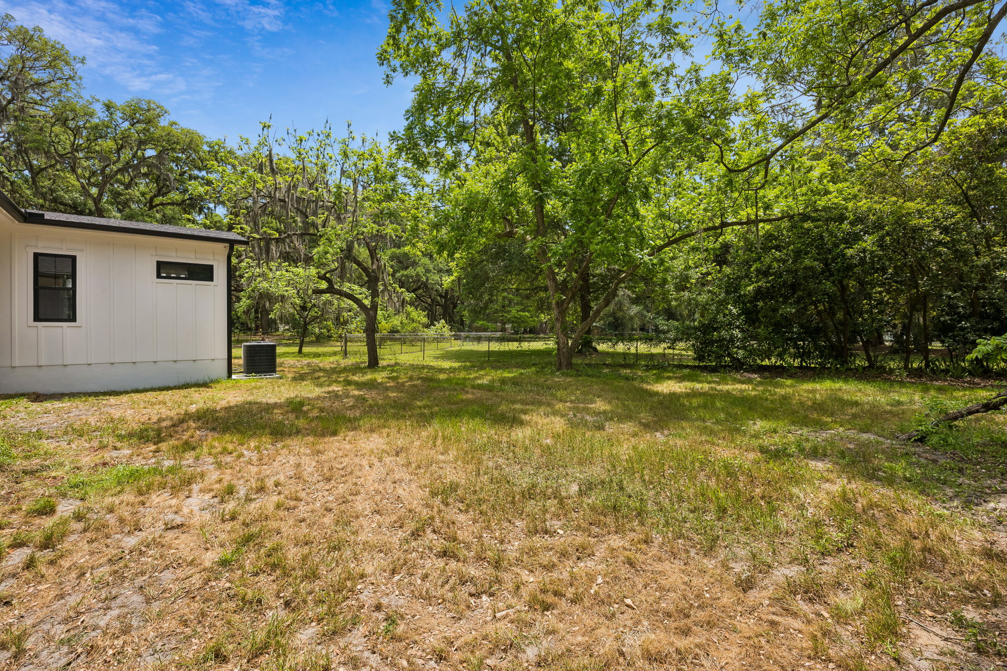 Backyard