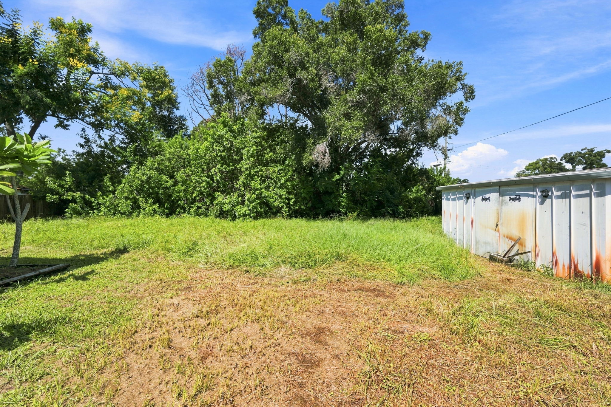 Backyard2