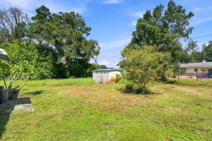 Backyard1