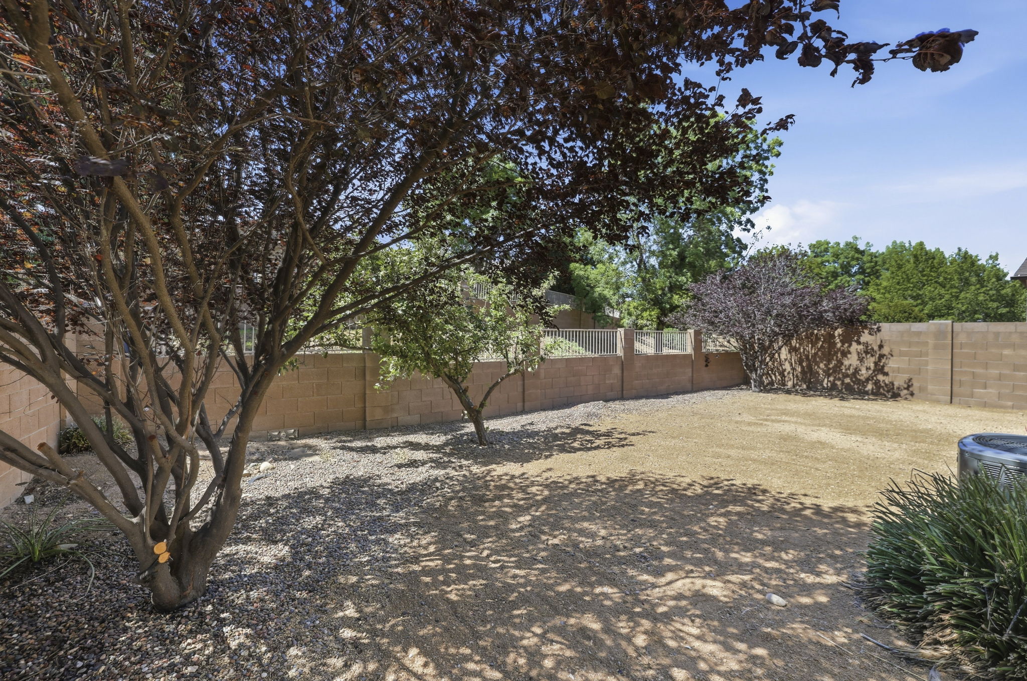 Backyard 2