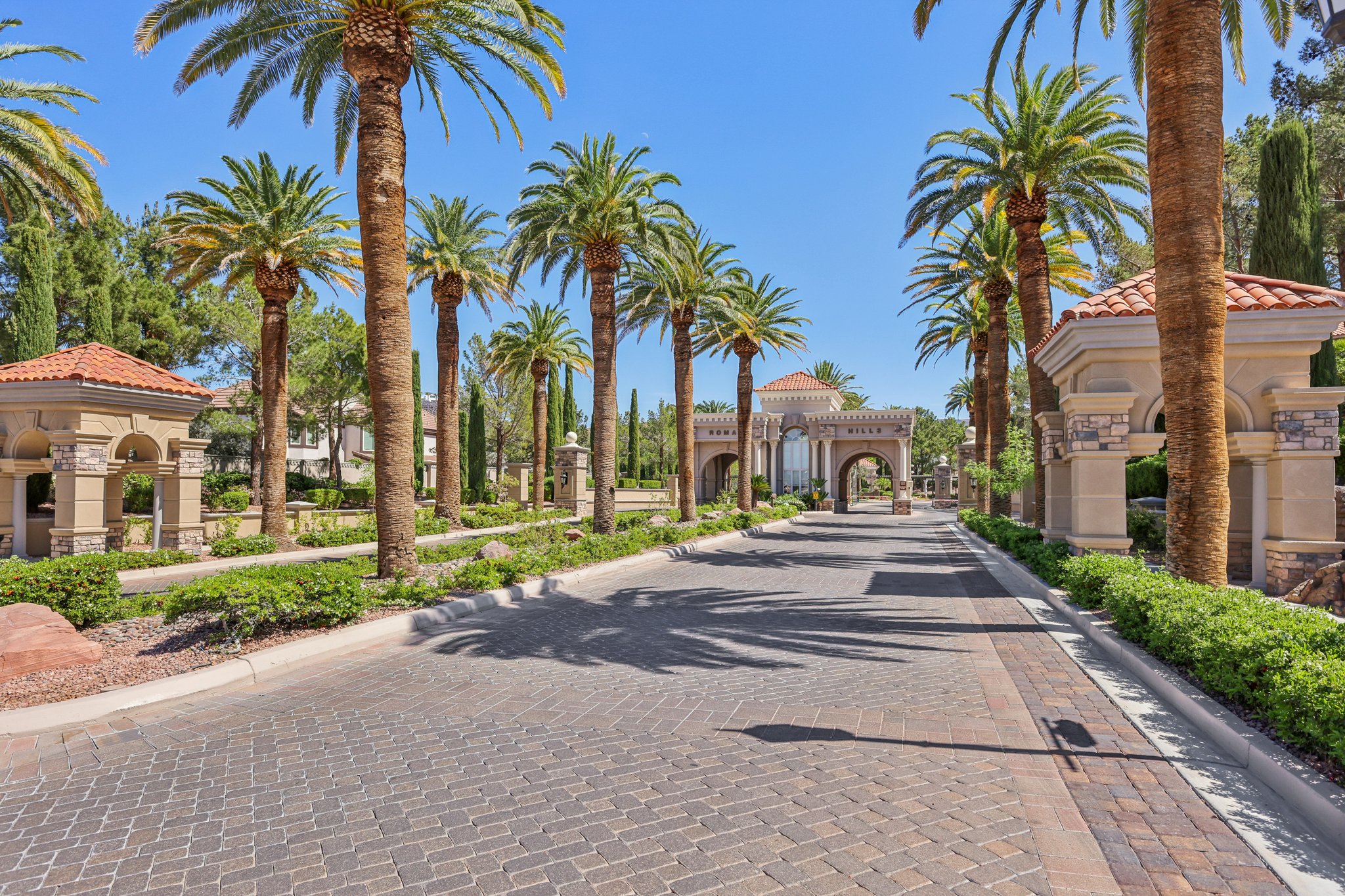 Dibasio Ct-2503-901.jpg