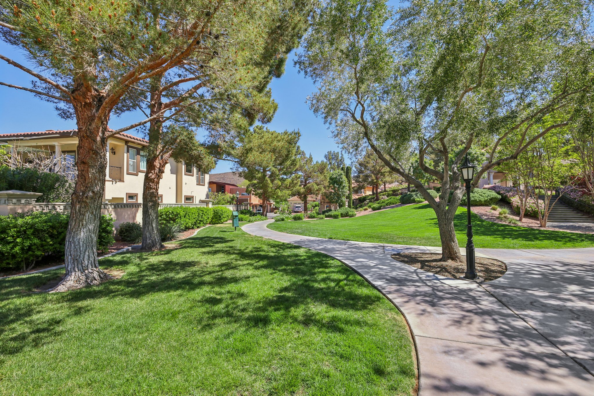 Dibasio Ct-2503-913.jpg