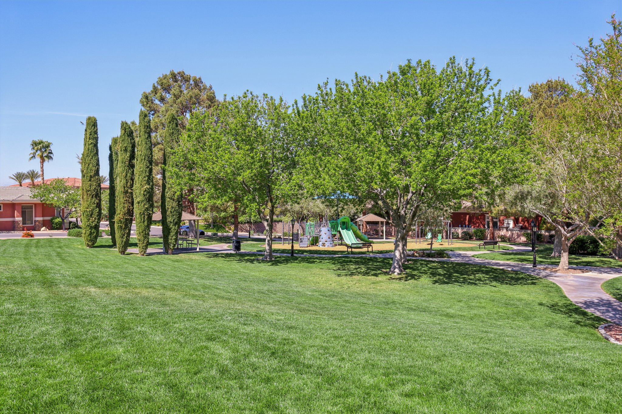 Dibasio Ct-2503-916.jpg