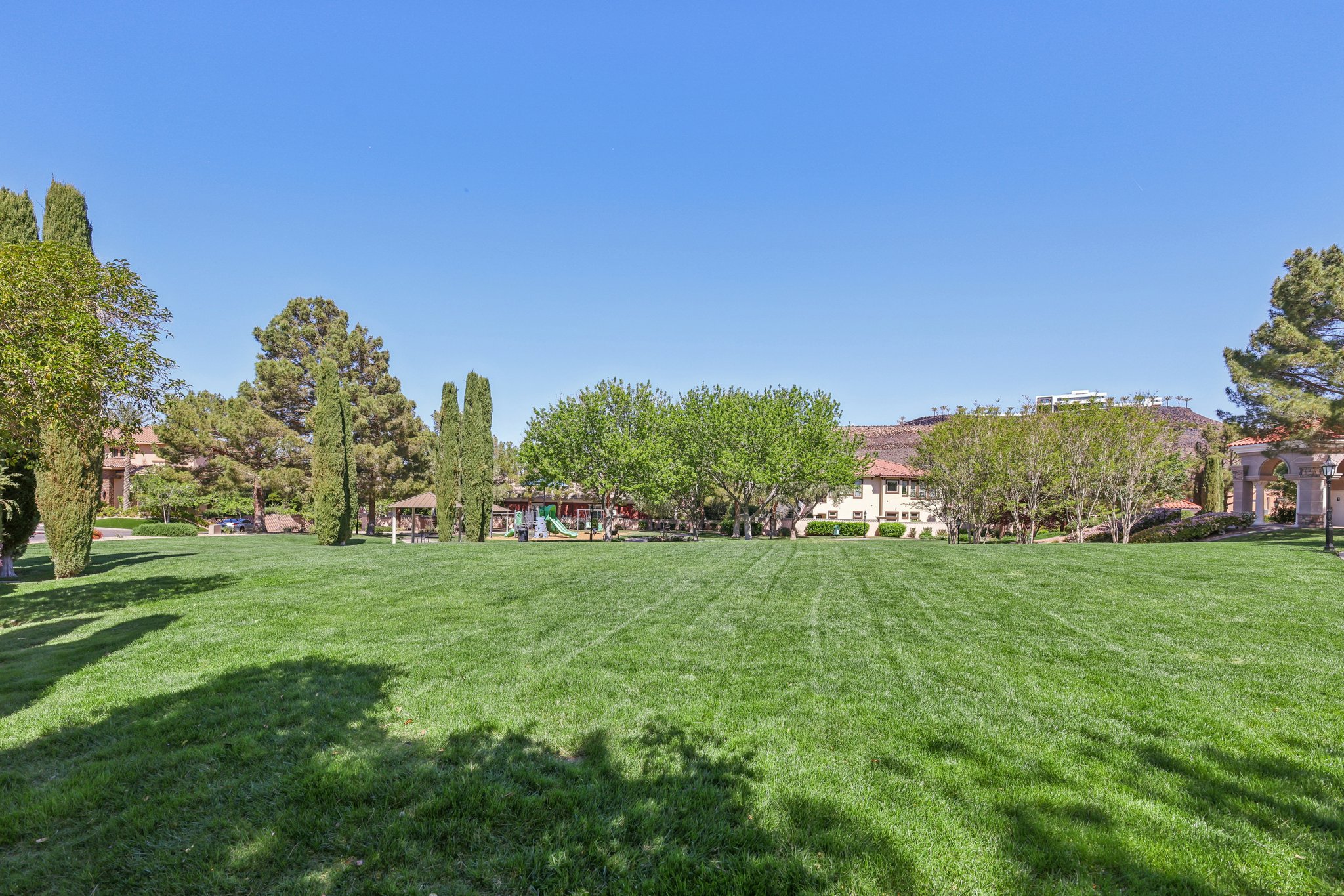 Dibasio Ct-2503-917.jpg