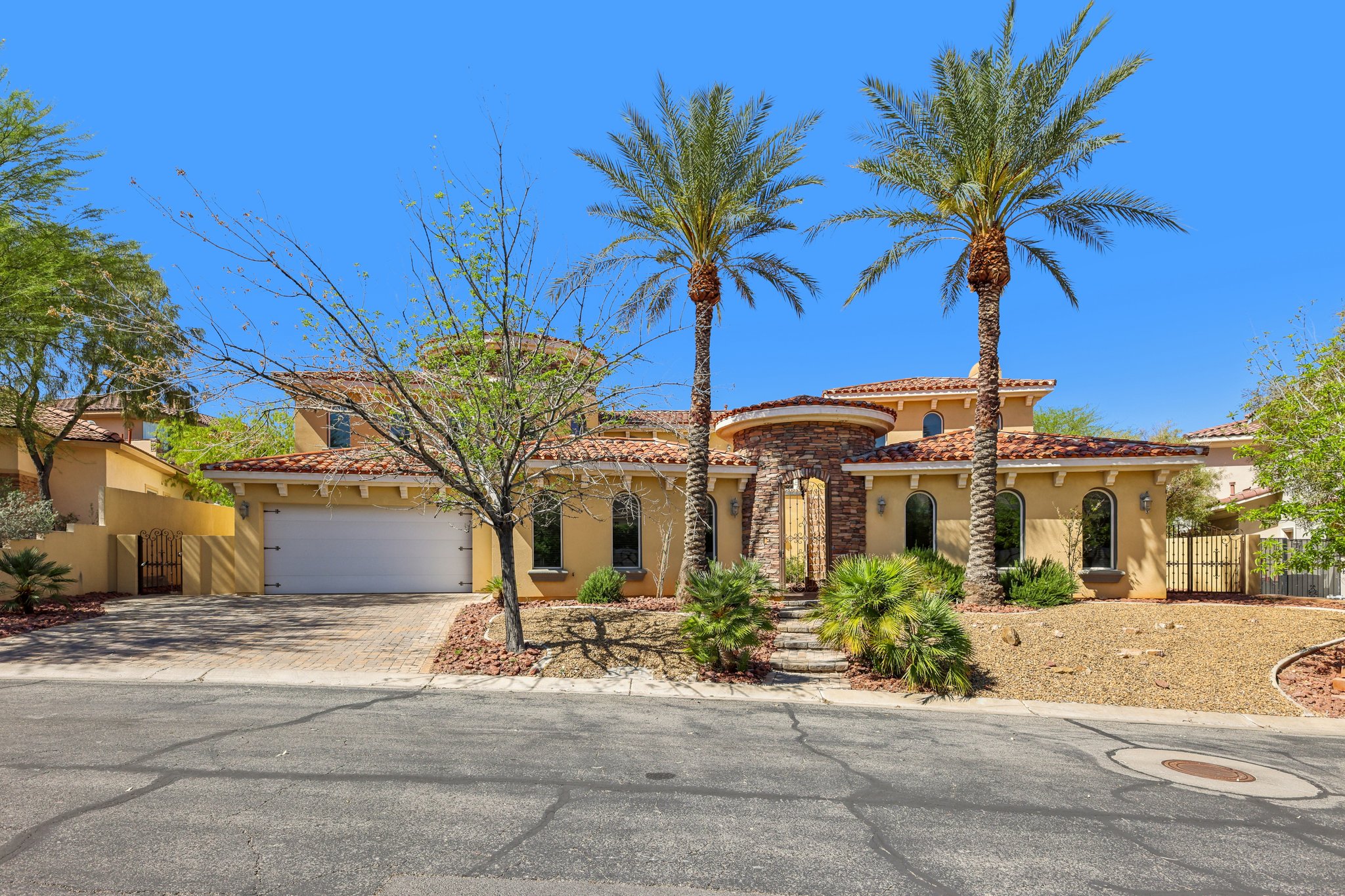 Dibasio Ct-S2603-004.jpg