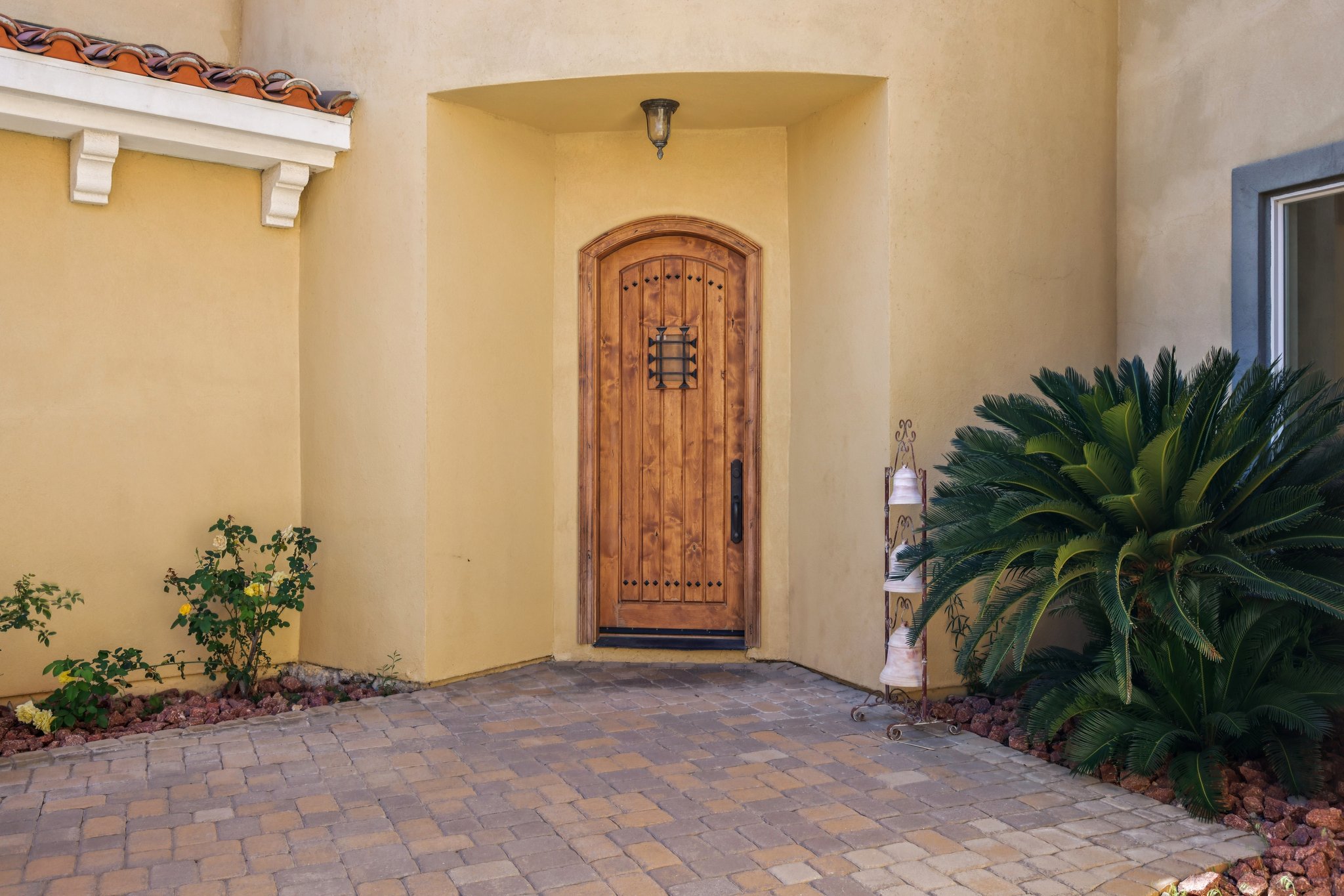 Dibasio Ct-S2603-018.jpg