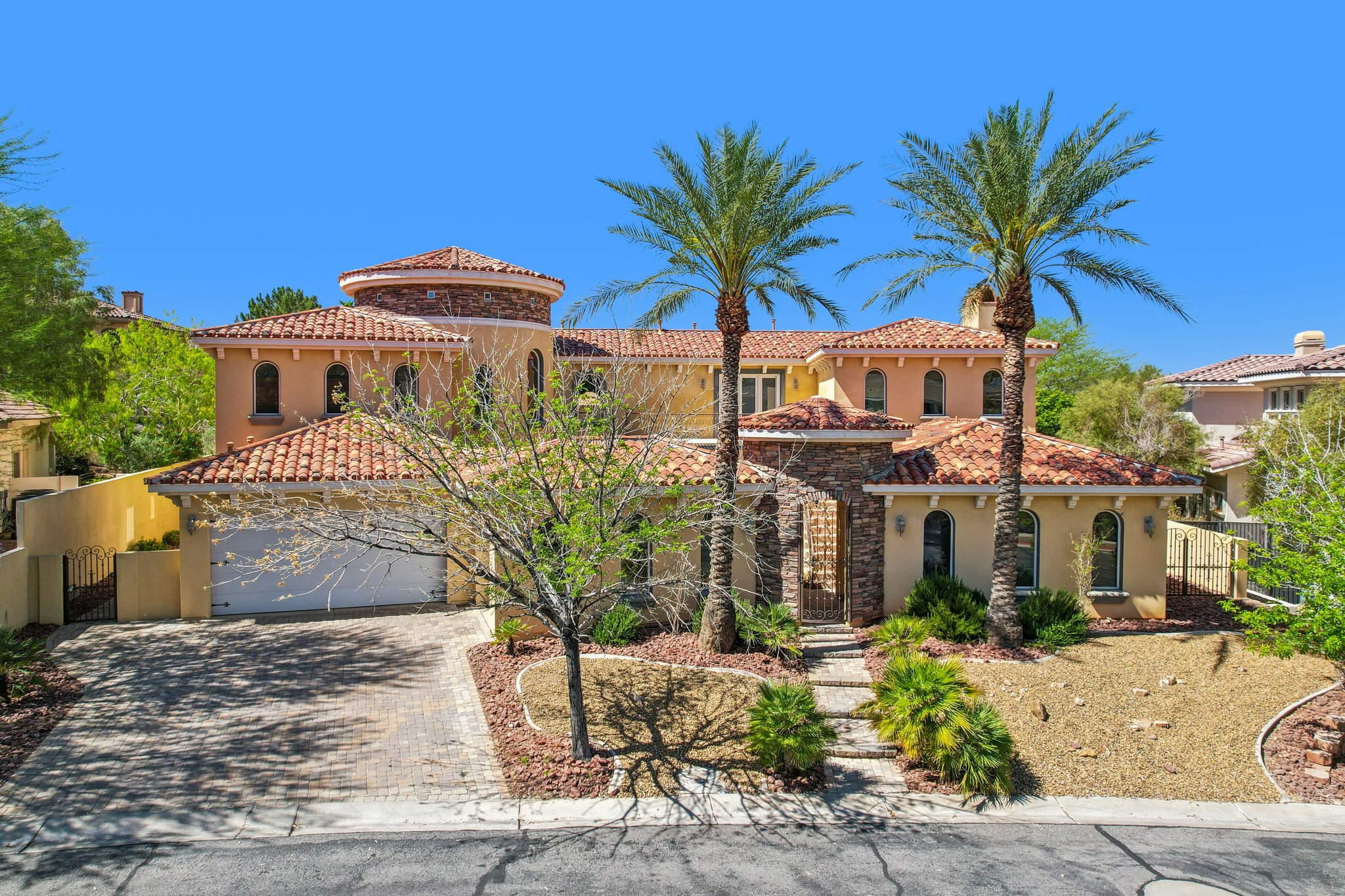 Dibasio Ct-S2603-134.jpg