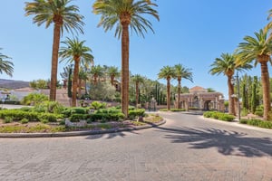 Dibasio Ct-2503-904.jpg