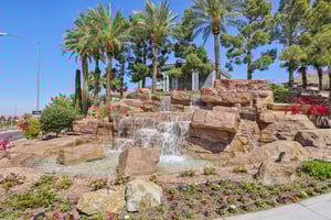 Dibasio Ct-2503-906.jpg