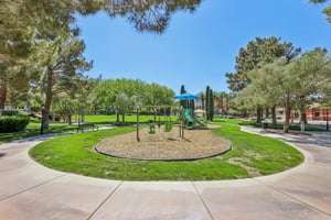 Dibasio Ct-2503-911.jpg