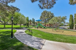 Dibasio Ct-2503-912.jpg