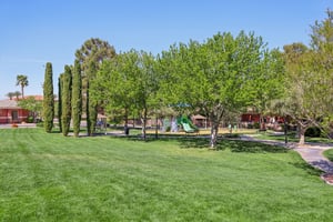 Dibasio Ct-2503-916.jpg