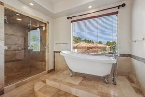 Dibasio Ct-S2603-081.jpg