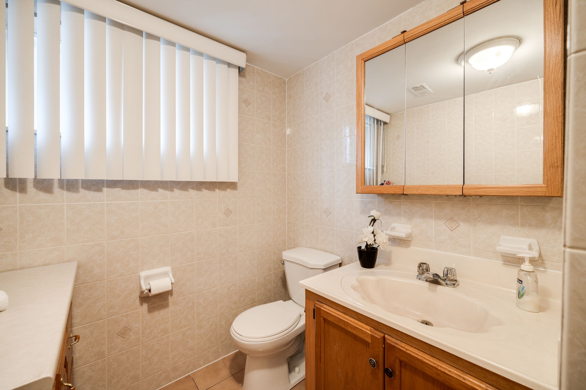 Toronto property showcase — delivered property photograph 30