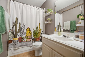  Photo 44