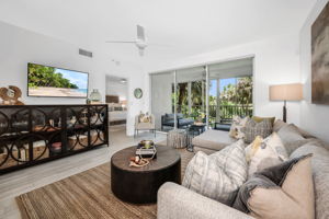 Living View 3