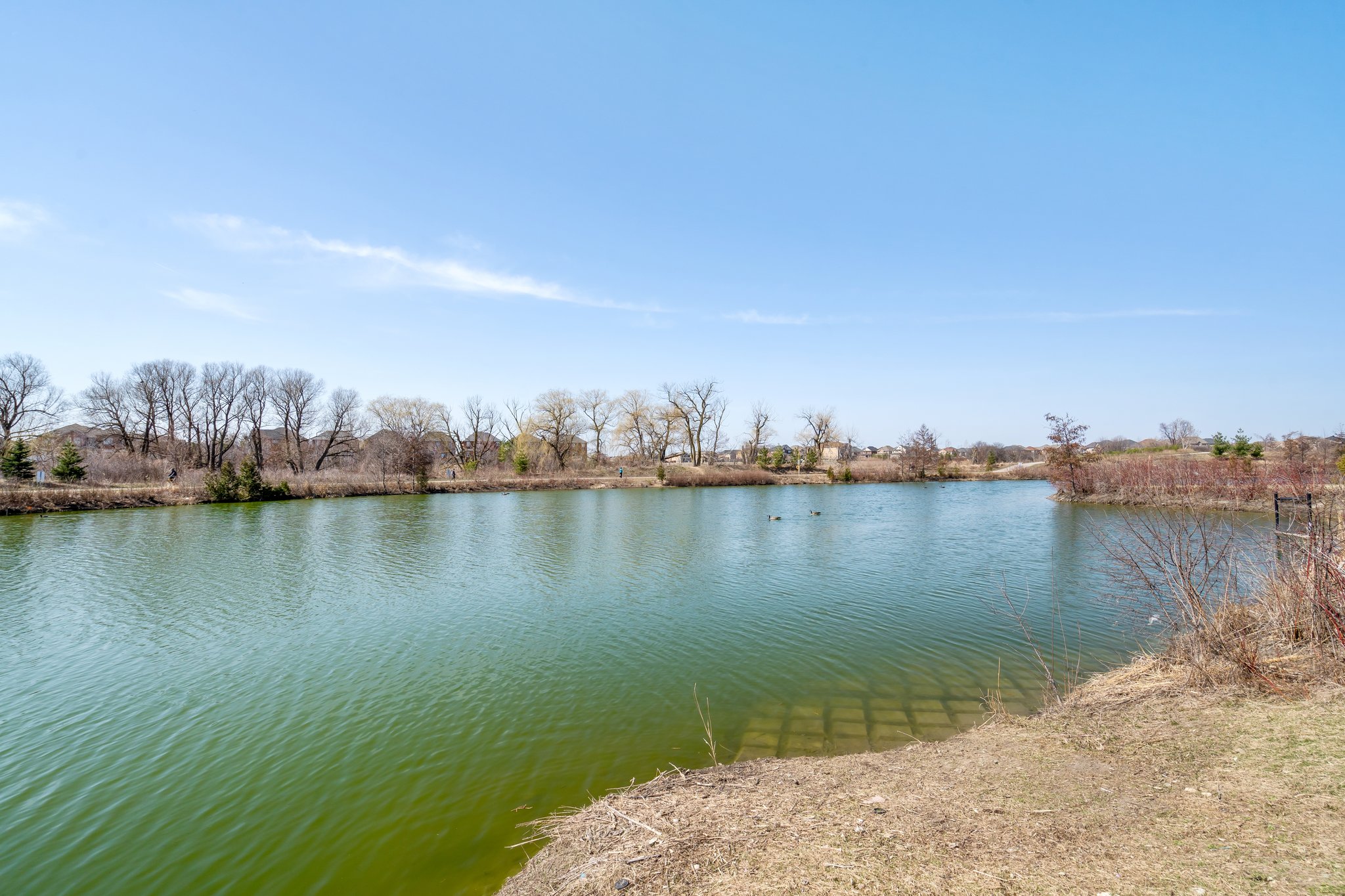 77 Clearfield Dr, Brampton, ON  L6P 3J4, CA Photo 39