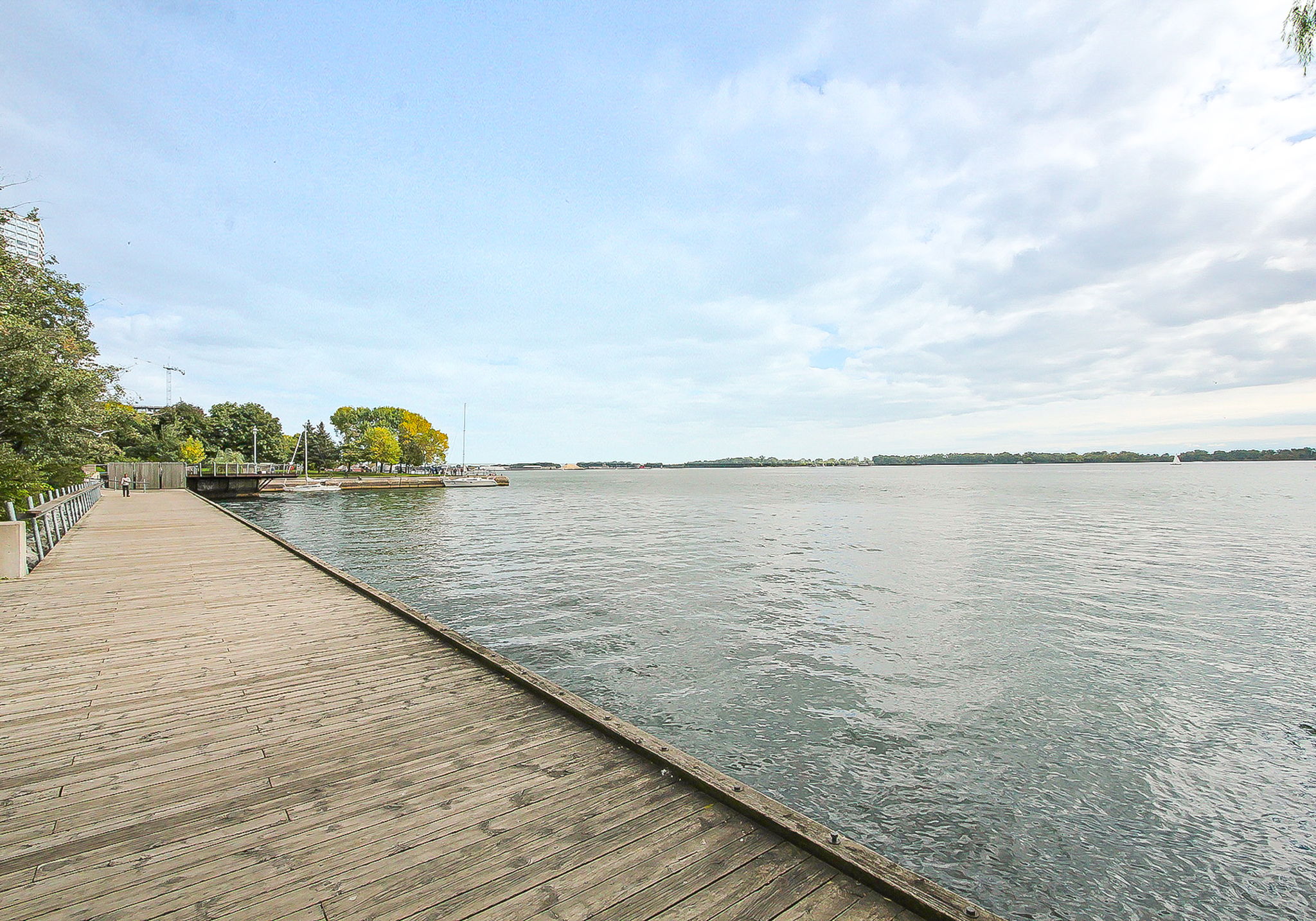  Photo 50