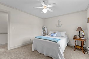  Photo 47