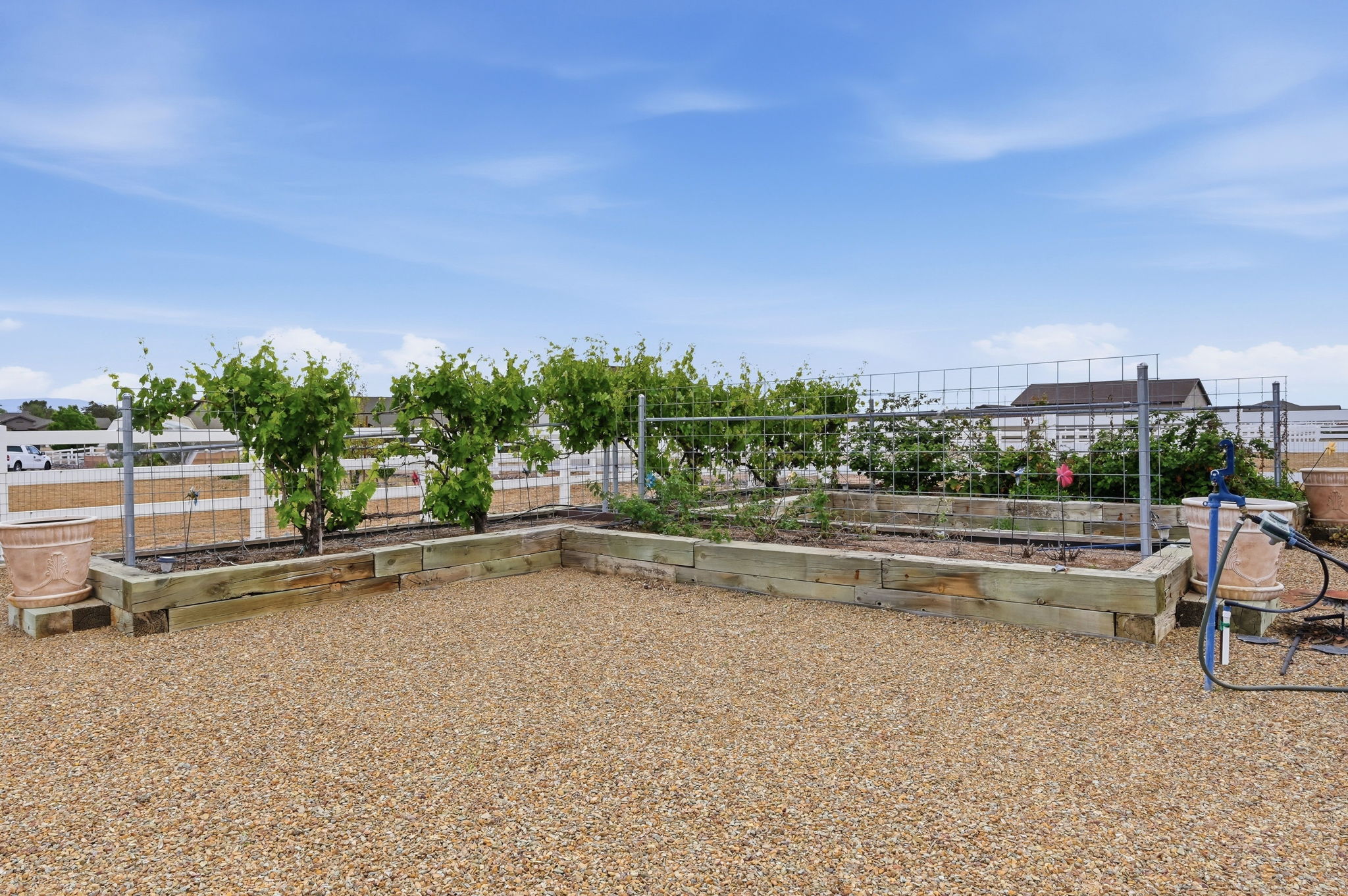 Garden Beds